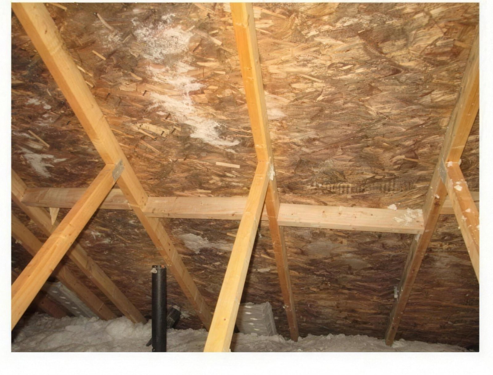Attic sheathing before On & Gone treatment